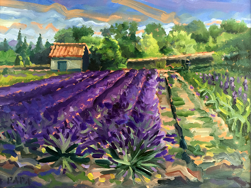 Lavender Field at St. Remy / 2015